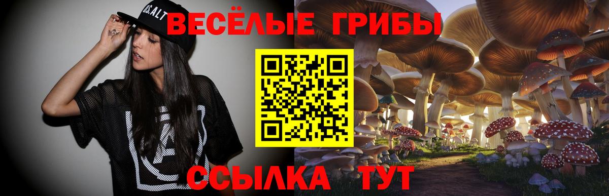 купить наркоту  Псилоцибиновые грибы Cubensis  Псилоцибиновые грибы GOLDEN TEACHER  Вход с VPN  Тосно 