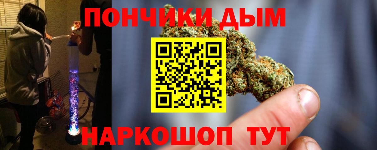 Бошки Шишки семена Тосно